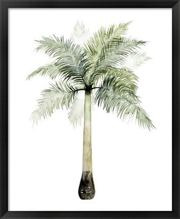 Framed Watercolor Palm of the Tropics II Print