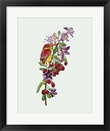 Framed Lycium Barbarum II Print