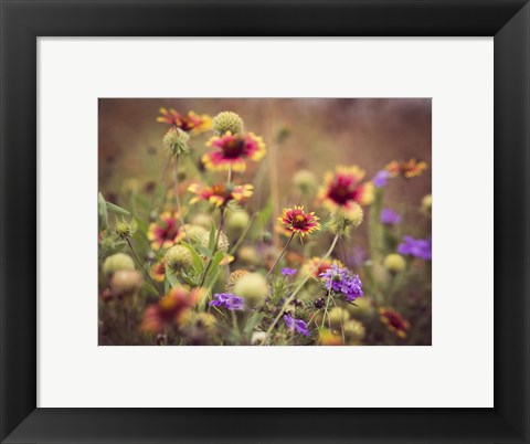 Framed Wild Blooms IV Print