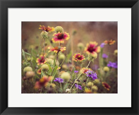 Framed Wild Blooms IV Print