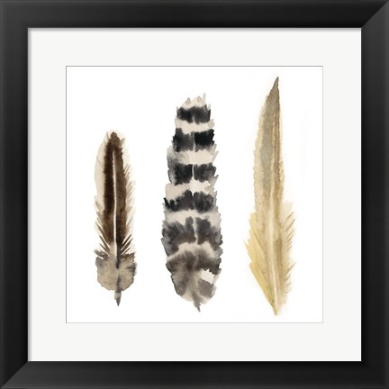 Framed Watercolor Plumes II Print