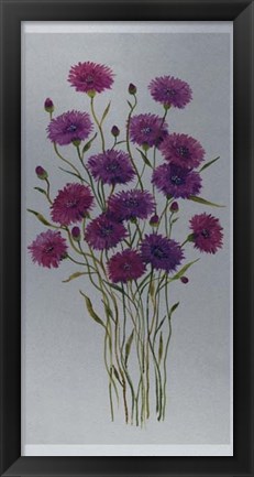 Framed Cornflower Patch II Print