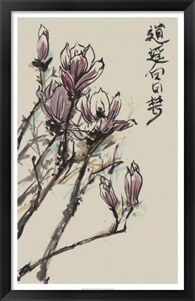 Framed Mandarin Magnolia II Print