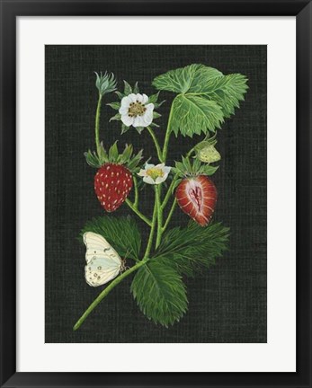 Framed Strawberry Fields I Print