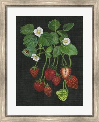 Framed Strawberry Fields II Print