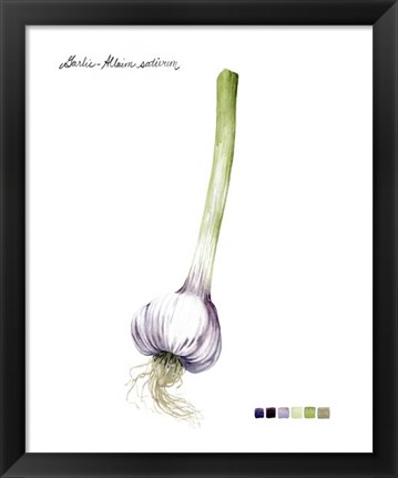 Framed Root Vegetable I Print