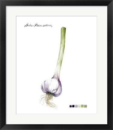 Framed Root Vegetable I Print