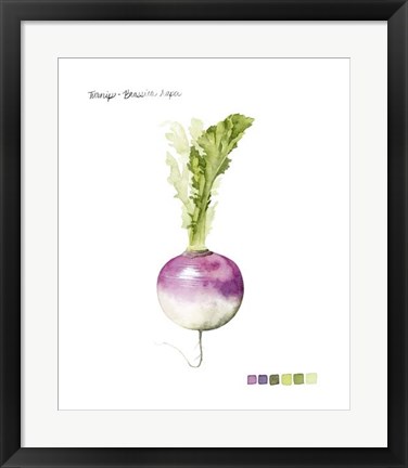 Framed Root Vegetable VI Print
