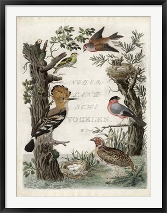 Framed Woodpecker Sanctuary Print