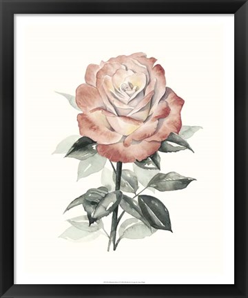 Framed Beholden Rose I Print