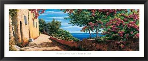 Framed P. Rasero - Promenade Sul Mare Size 39.5x13.75 Print