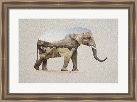 Framed African Elephant Erongo Namibia Print