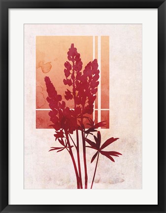 Framed Ombre Lupine Flowers Print