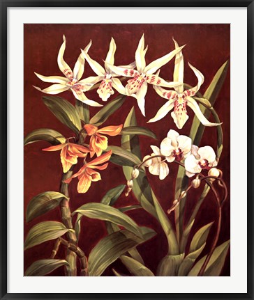 Framed Orchid Trio I Print