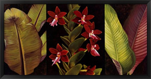 Framed Red Orchids and Palm Leaves Print