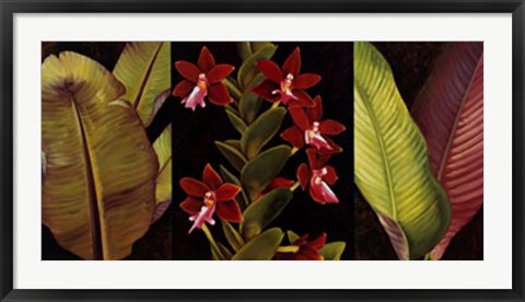 Framed Red Orchids and Palm Leaves Print