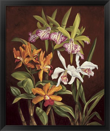 Framed Orchid Trio II Print