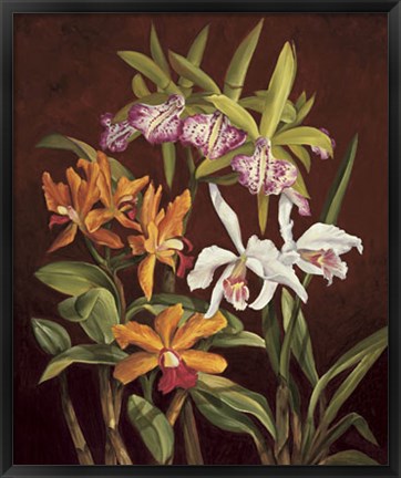 Framed Orchid Trio II Print