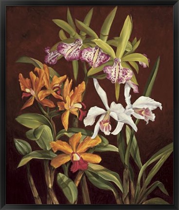 Framed Orchid Trio II Print