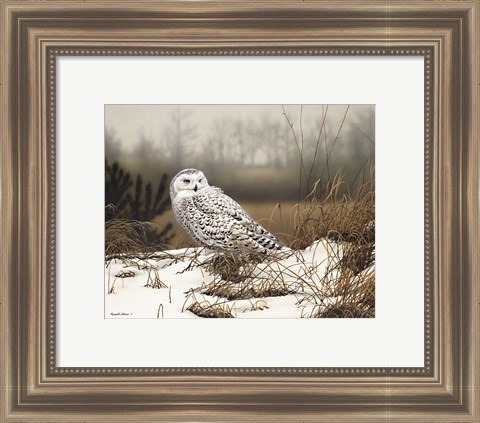 Framed Snowy Mist Print