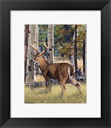 Framed Fall Whitetail Print