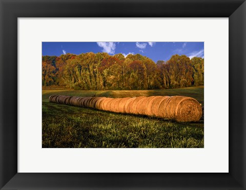 Framed Hay Bales Print