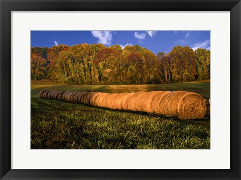 Framed Hay Bales Print