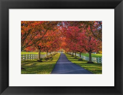 Framed Lane in Fall Print