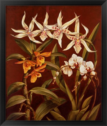 Framed Orchid Trio I Print