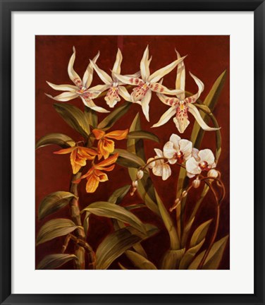 Framed Orchid Trio I Print