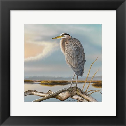 Framed Marsh Watch - Great Blue Heron Print