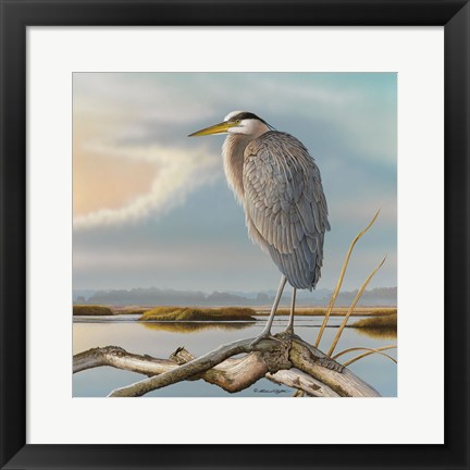 Framed Marsh Watch - Great Blue Heron Print