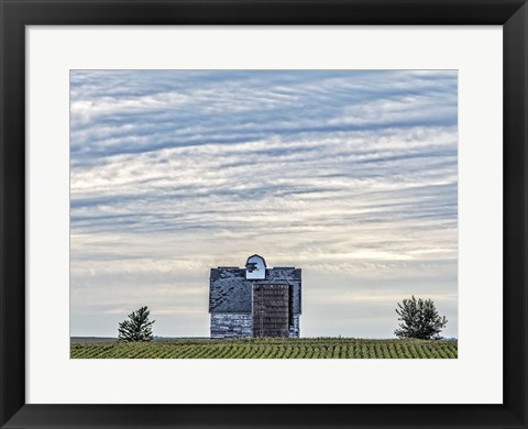 Framed Taking a Stand Print