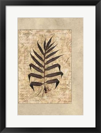 Framed Fern II Print