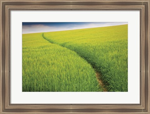 Framed Seductive Path Print