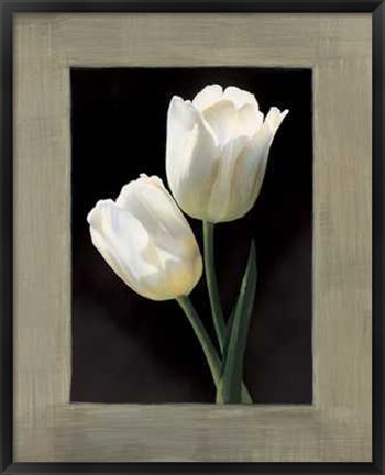 Framed Tulipani Bianchi Print