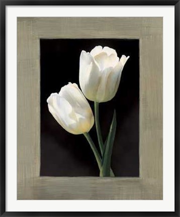 Framed Tulipani Bianchi Print