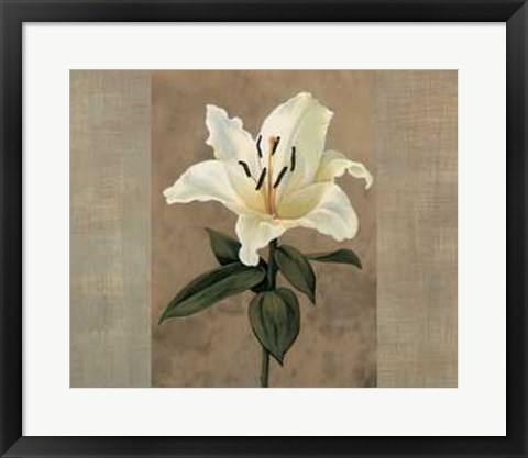 Framed Lily Print