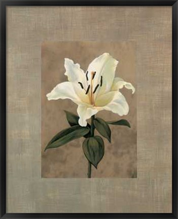 Framed Lily Print