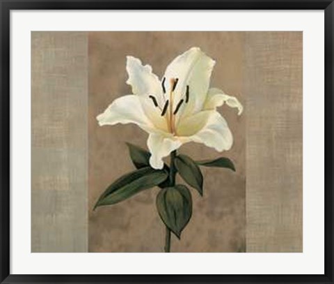 Framed Lily Print