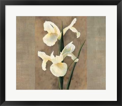 Framed Iris Print