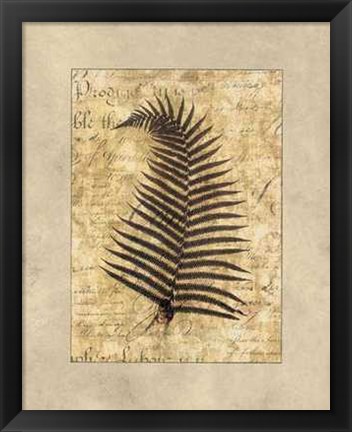 Framed Fern I Print