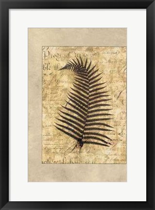 Framed Fern I Print