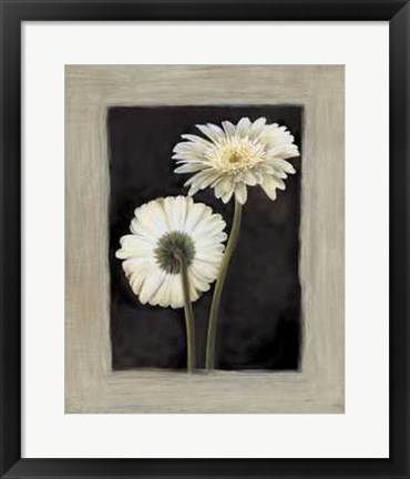 Framed Flora II Print