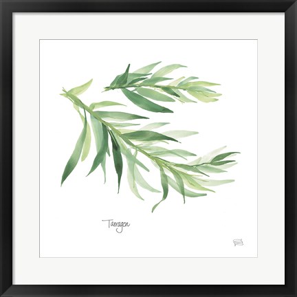Framed Tarragon Print