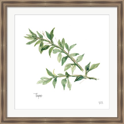 Framed Thyme Print