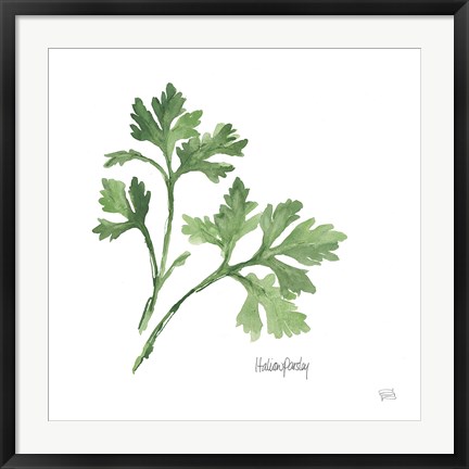 Framed Italian Parsley Print