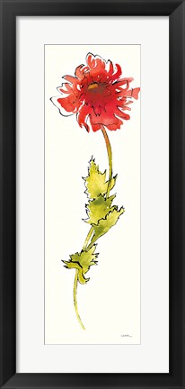 Framed Peony Form Poppies II Print