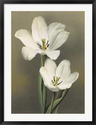 Framed Tulipani Print