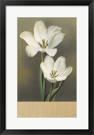 Framed Tulipani Print